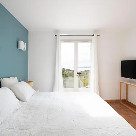 Cocotiers Les Issambres